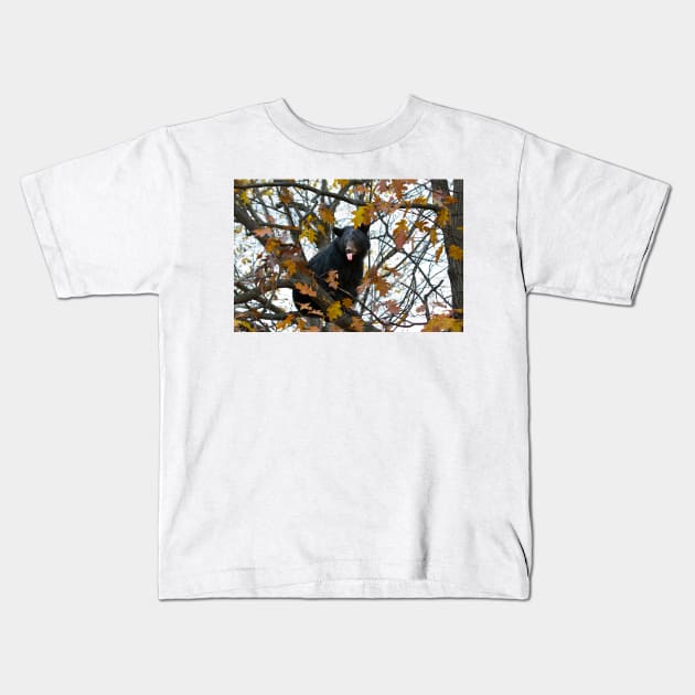 Bear in Tree Kids T-Shirt by Jim Cumming